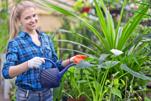 Gardener inspecting a residential garden boundary