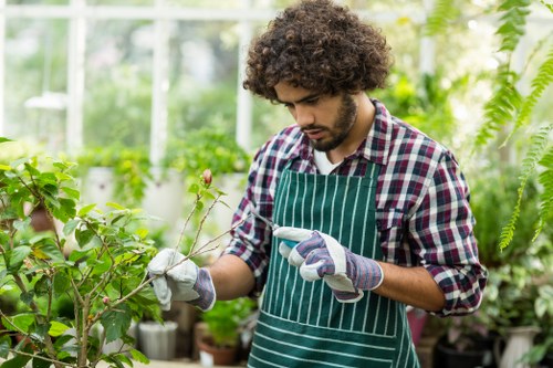 Gardener trimming a hedge in a suburban Beckenham garden