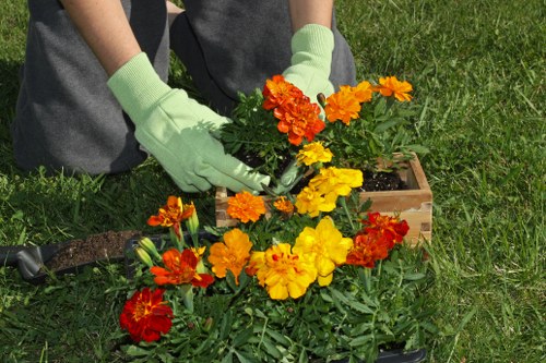 Community garden project in Beckenham